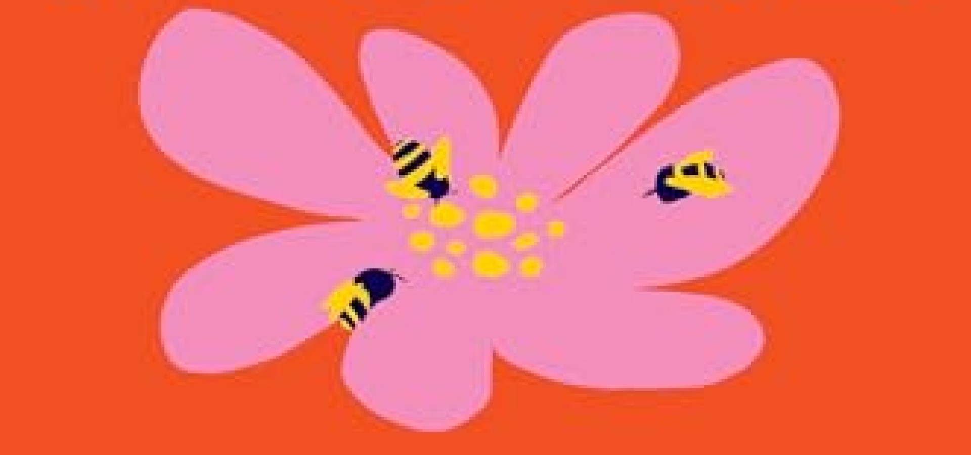 MORE: A Memoir of Open Marriage